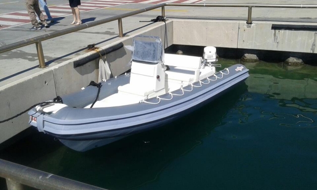 Gommone bianco e grigio